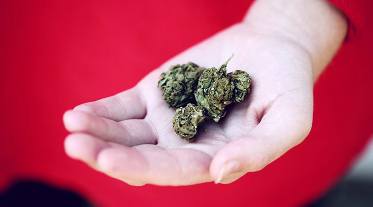 Coast Range Cannabis looks to open in Comox
