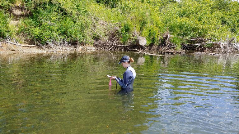 The Pacific Salmon Foundation donates $42,000 towards salmon projects