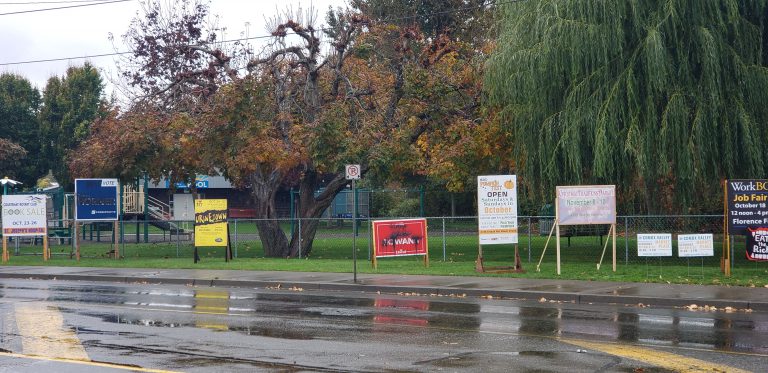 Courtenay-Alberni election signs vandalized along 5th Street