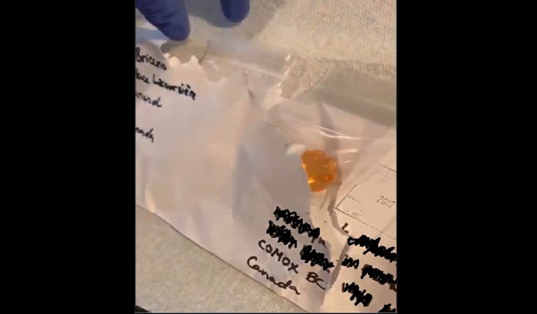 Comox woman receives mysterious letter with ‘unknown white substance’