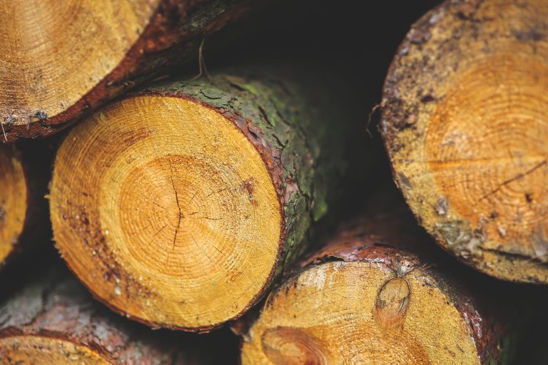 Western Forest Products announces curtailment at BC sawmills