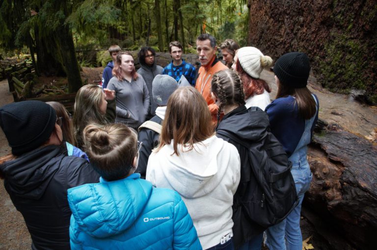 Courtenay teacher wins national teaching award