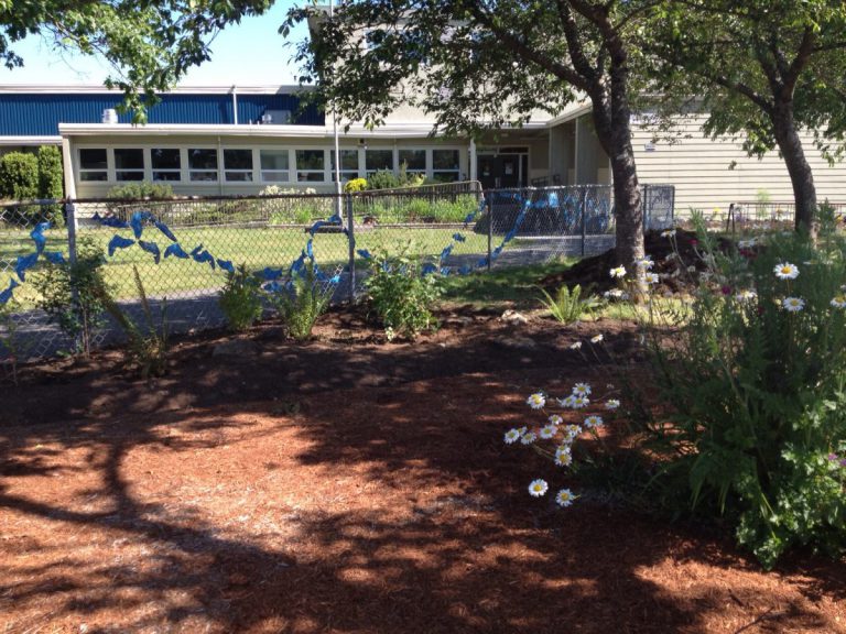 Mountain bikes stolen from Courtenay Elementary School