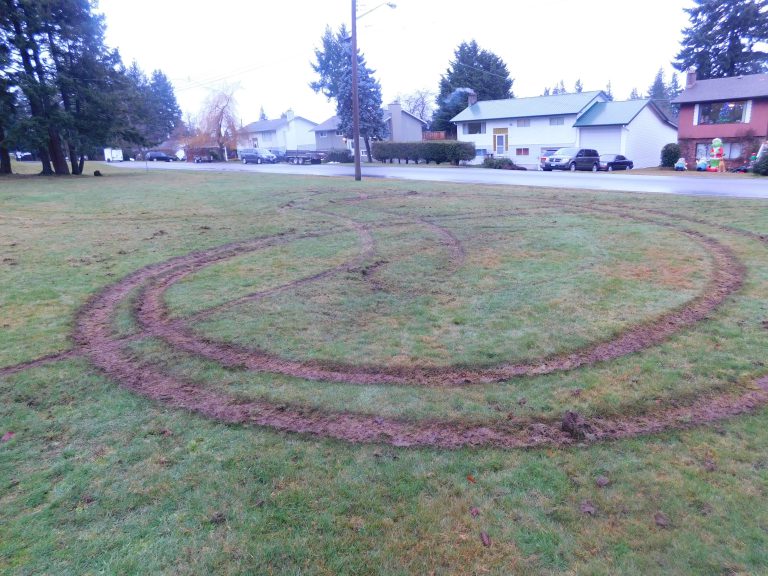 Campbell River RCMP investigating ‘donut’ damage to city parks