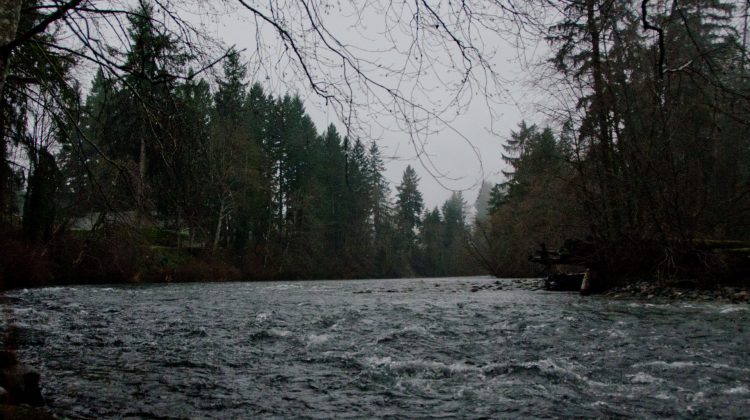 BC Hydro extends safety advisory to steer clear of Puntledge River 