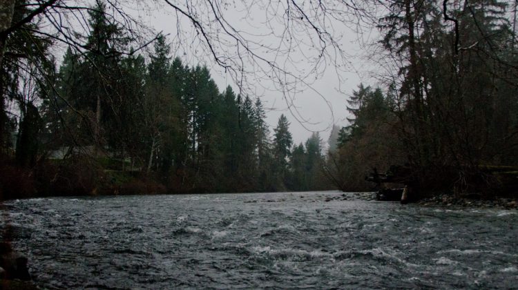 Puntledge River to experience high water flows as storm system moves through area