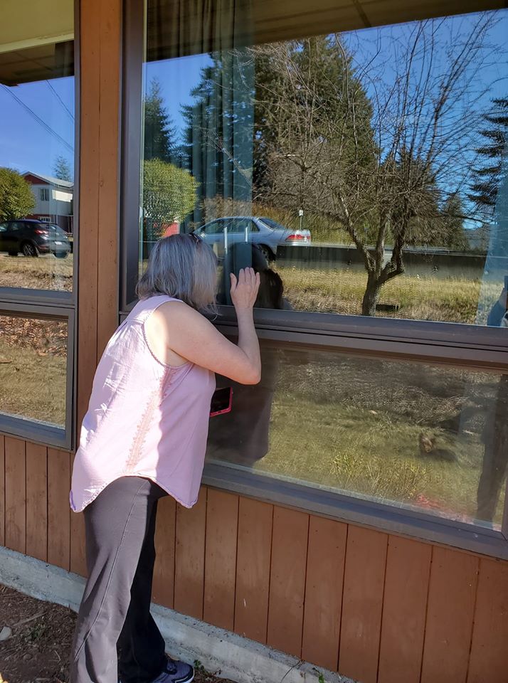 Comox Valley family finds a way to visit elderly dad during pandemic