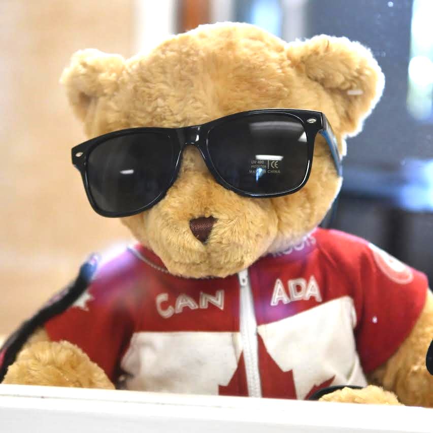 i want to buy a teddy bear