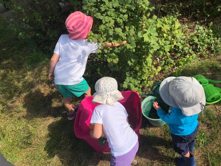 Lake Trail Community School garden gets new upgrades to promote food literacy