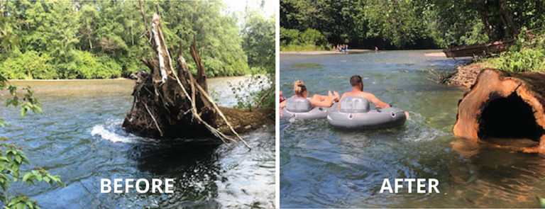 Dangerous tree removed from Puntledge River after complaints from tubers