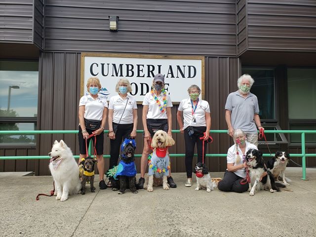 St.John Ambulance therapy dogs continue to spread joy in the Comox Valley despite COVID-19