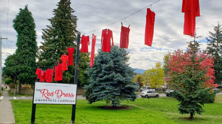 Event to be held for Red Dress Day in Simms Park Friday