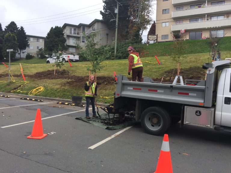 Grant funding supports tree planting at Campbell River city hall, cemetery