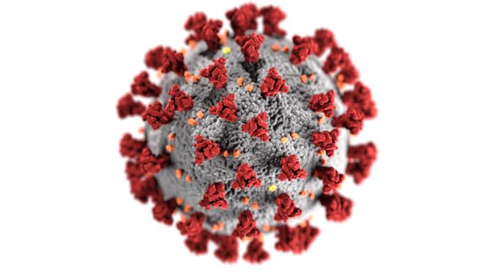 BREAKING: Island Health adds record 28 new cases of COVID-19