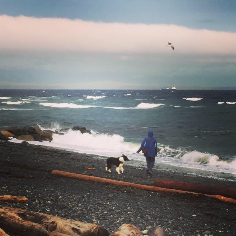 Hold on to your hats – Environment Canada issues another wind warning