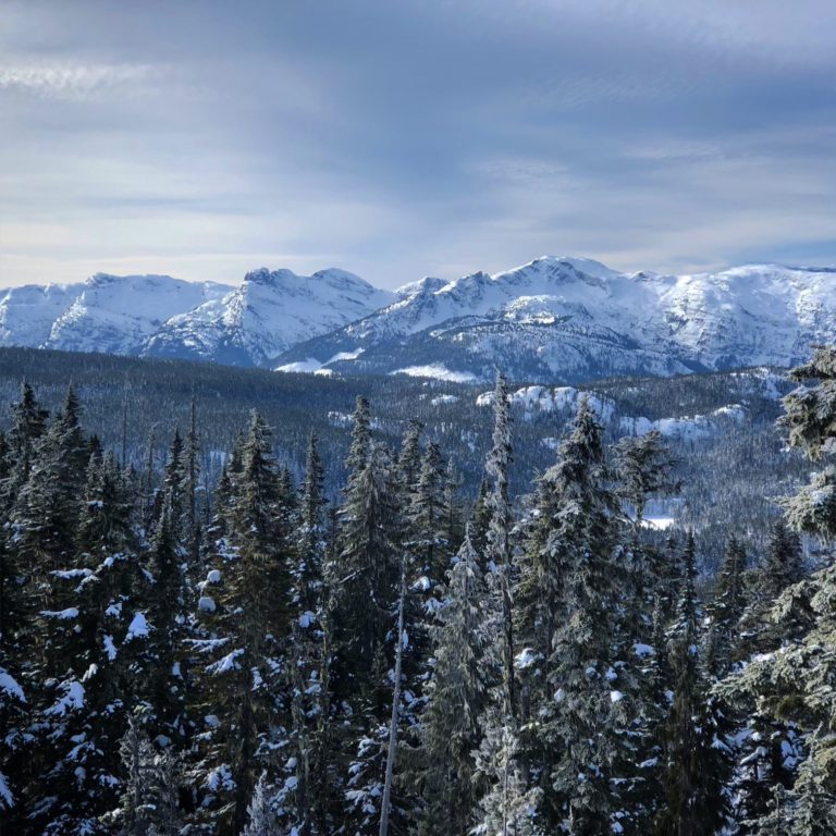 Avalanche concerns deepen after Island skiers buried