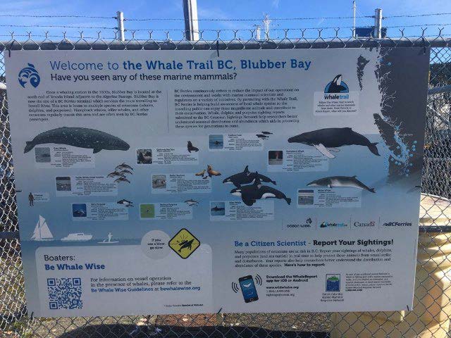 Whale Trail expands to Texada Island, Campbell River