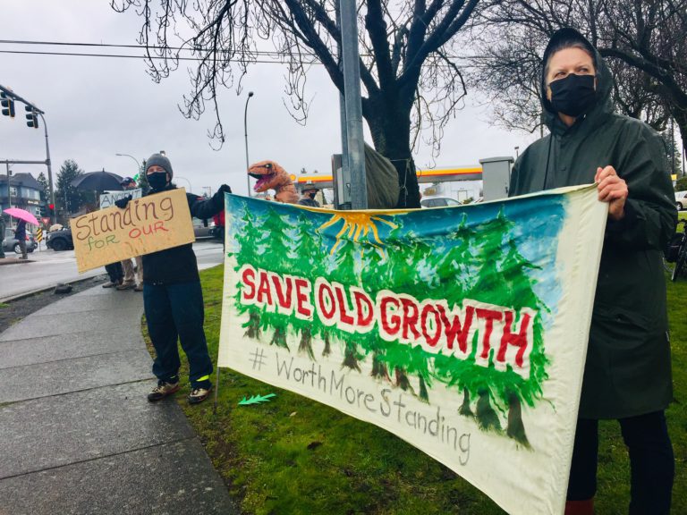 Old growth supporters rally on Vancouver Island, Sunshine Coast