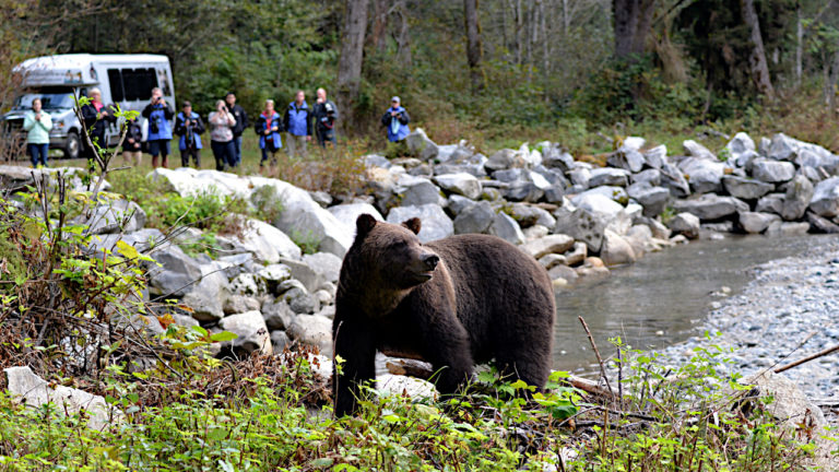 Homalco Wildlife & Culture Tours looks to expand; anticipates busy 2021 season
