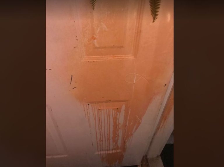Vandals target Campbell River family’s truck, home