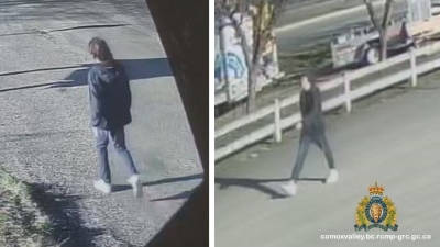 RCMP looking for suspect after second assault in Courtenay 