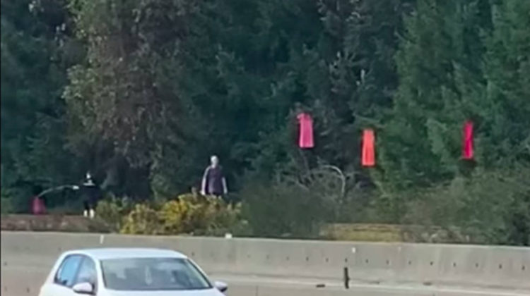 ‘These people did this maliciously’: Reflecting on video of pair removing red dresses along Island Highway
