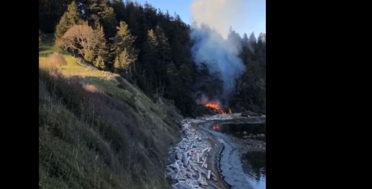 Iconic Hornby Island cabin ‘complete loss’ after fire 