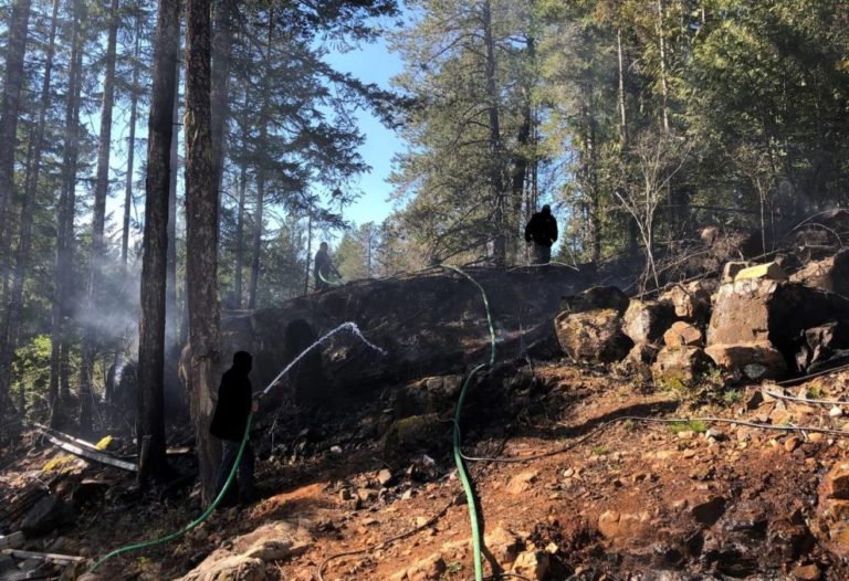 Campbell River fire crews stop wildfire from spreading