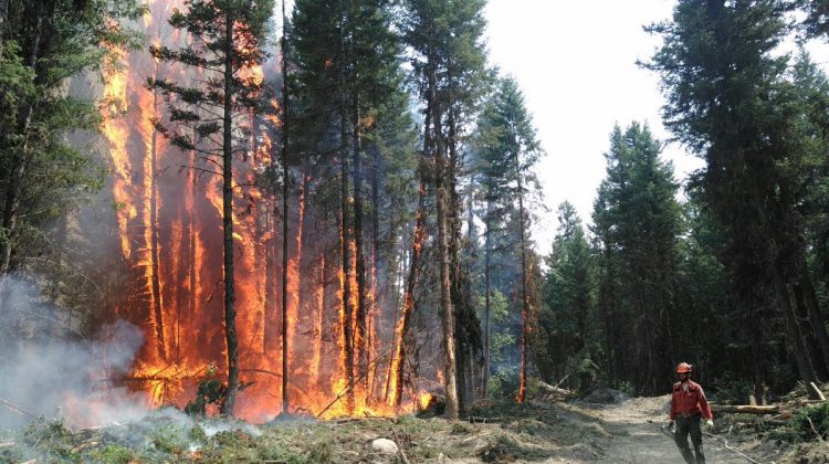 ‘Wildfires still a threat, and could last into the winter’: BC Wildfire Service 