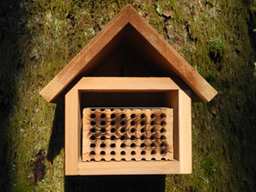 Comox sets up bee houses to help pollinate local parks 