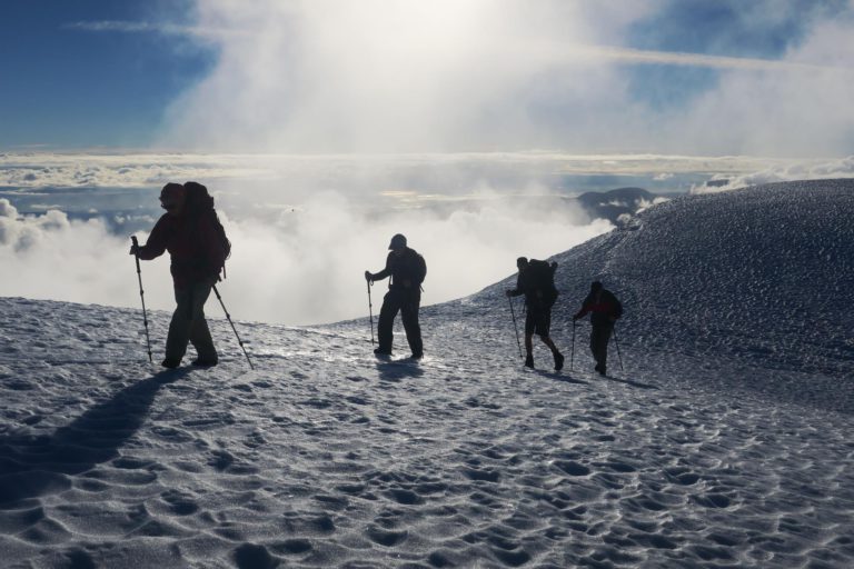 Comox District Mountaineering Club recipient of BC Parks Volunteer Award