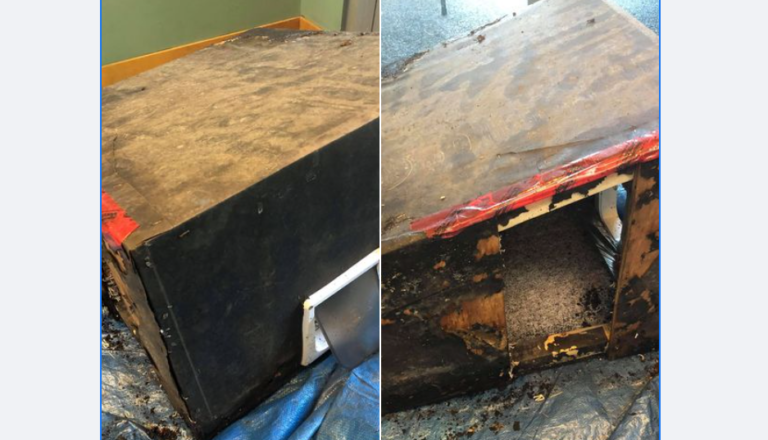 Branch manager sends reminder after empty box dumped outside Comox Valley SPCA