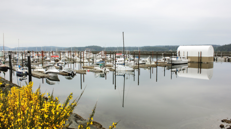 Campbell River added to Central Mountain Air’s flight network