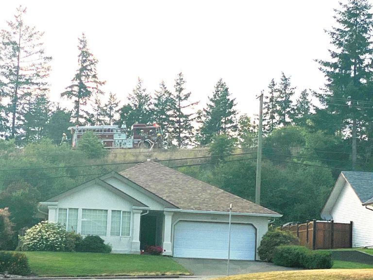 Passersby, fire crews douse ‘multiple’ roadside fires on Ryan Road hill