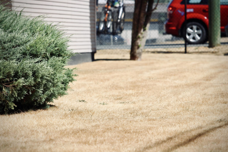 Campbell River eases water restrictions, as Comox Valley moves to Stage 3