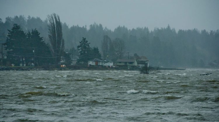 Strong winds and rain expected to start Sunday on Vancouver Island, the Strait of Georgia, and the Sunshine Coast