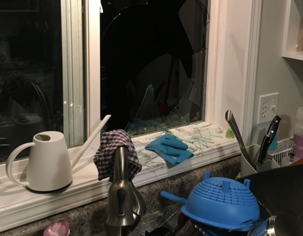 Campbell River family says they’ve been terrorized by young vandals