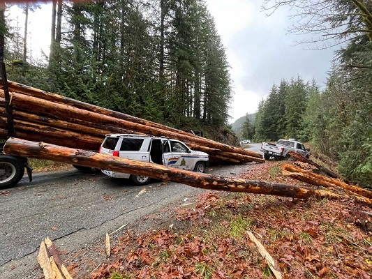 Island officers injured in logging truck collision