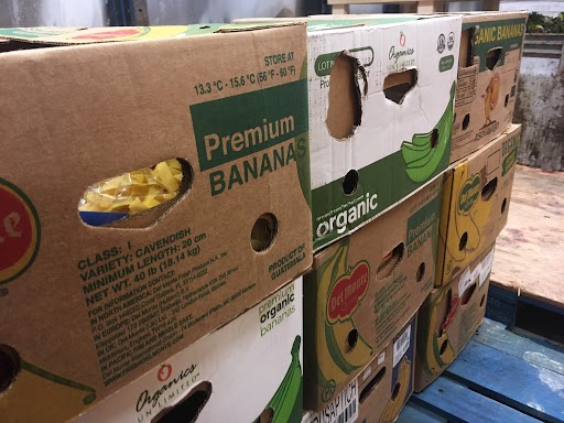 Food Banks Canada releases 2024 Hunger Count, advocates for ‘rebuilding Canada’s social safety net’