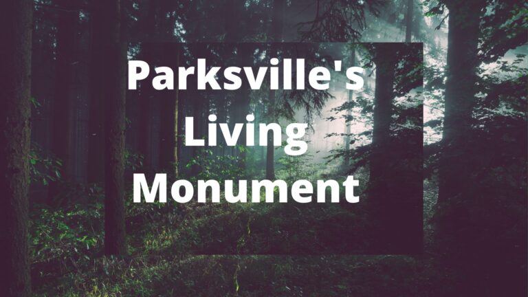 Parksville Ready To Unveil A Living Monument