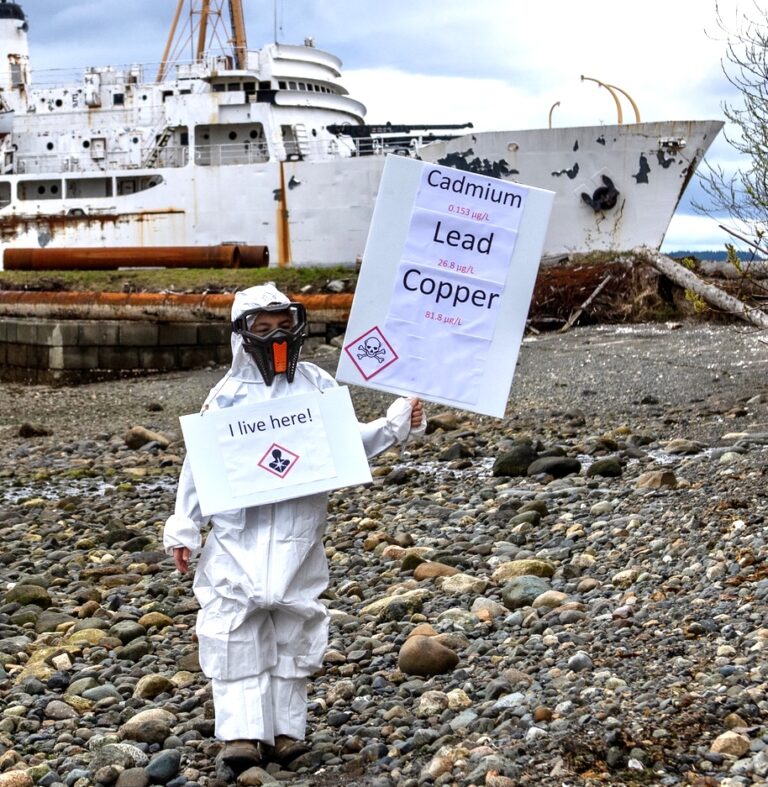 Shipbreaking open house and rally to be held in Union Bay Sunday