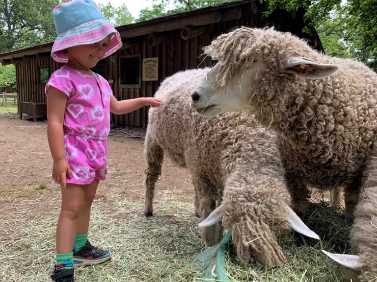 Hands on Farm ready to open for the season in Comox