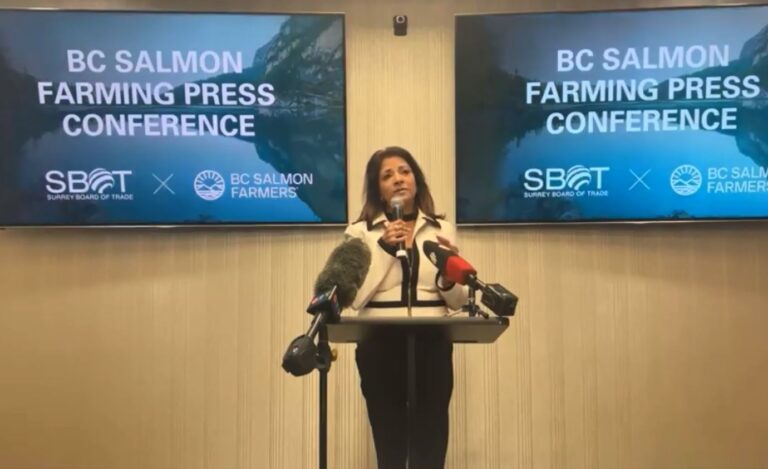 Surrey businesses back up BC salmon farms, warn of urban job losses from closures