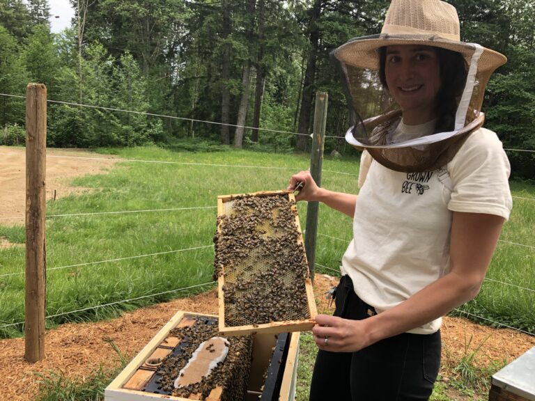 Beekeeping passes 156 years in B.C., climate change growing issue for bee survival