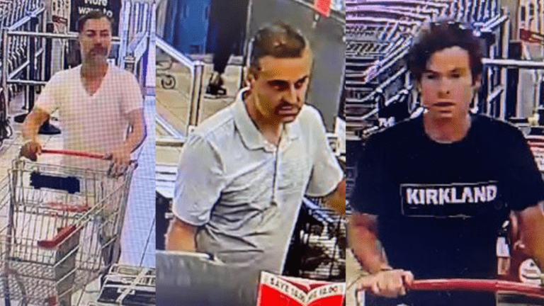 RCMP looking to identify suspects in Canada Day theft