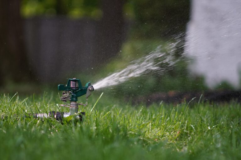 Stage 3 water restrictions to come into effect for Royston, Black Creek