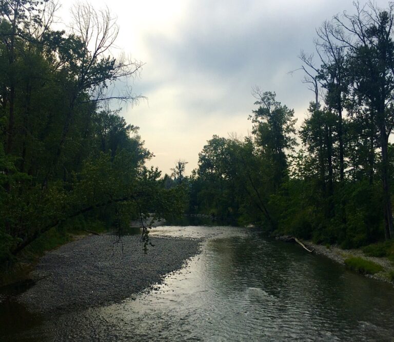 Pumps Needed Again to Maintain Flow of Water into Cowichan River