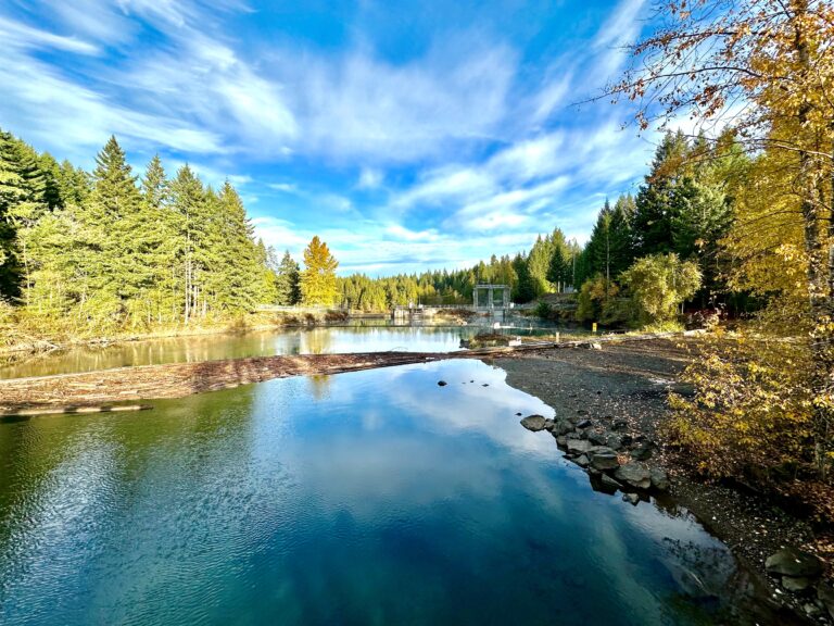 BC Hydro issues Puntledge River safety warning after nearly normal October rains