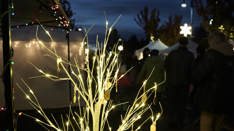 Annual Mayor Tree Lighting and Winter Market returns Friday in Comox