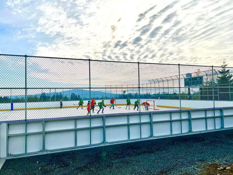 CVRD Ball Hockey Program starts in the spring